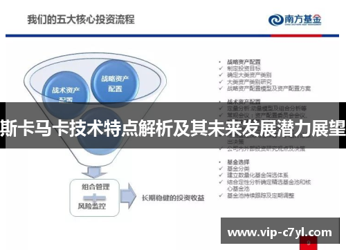 斯卡马卡技术特点解析及其未来发展潜力展望