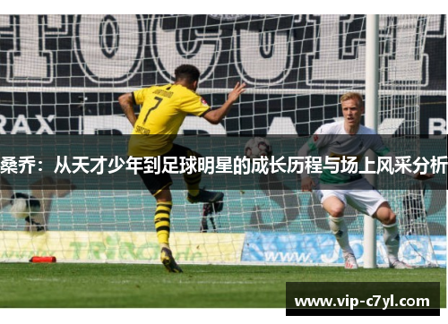 桑乔：从天才少年到足球明星的成长历程与场上风采分析