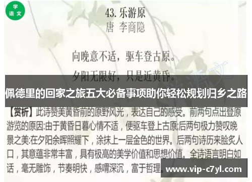 佩德里的回家之旅五大必备事项助你轻松规划归乡之路