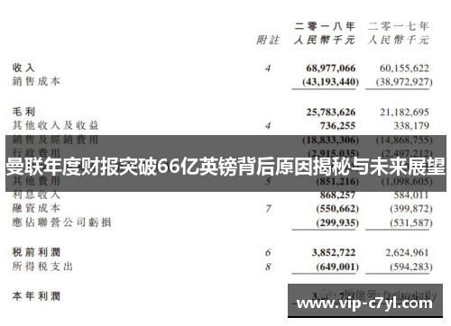 曼联年度财报突破66亿英镑背后原因揭秘与未来展望