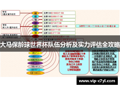 大马保龄球世界杯队伍分析及实力评估全攻略