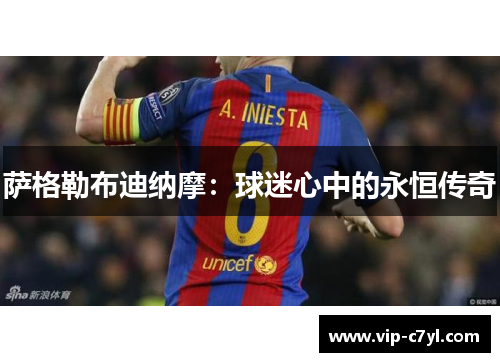 萨格勒布迪纳摩：球迷心中的永恒传奇