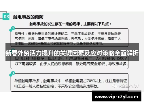 新春外贸活力提升的关键因素及应对策略全面解析