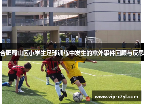 合肥蜀山区小学生足球训练中发生的意外事件回顾与反思