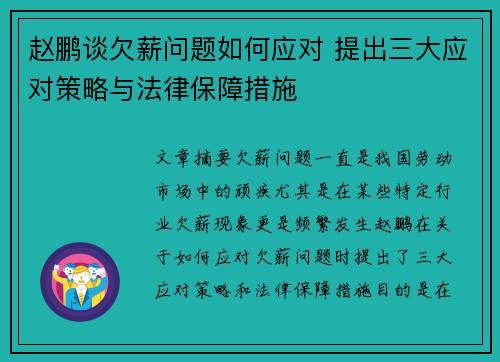 赵鹏谈欠薪问题如何应对 提出三大应对策略与法律保障措施