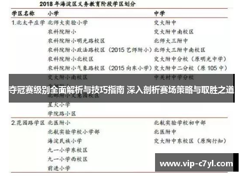 夺冠赛级别全面解析与技巧指南 深入剖析赛场策略与取胜之道