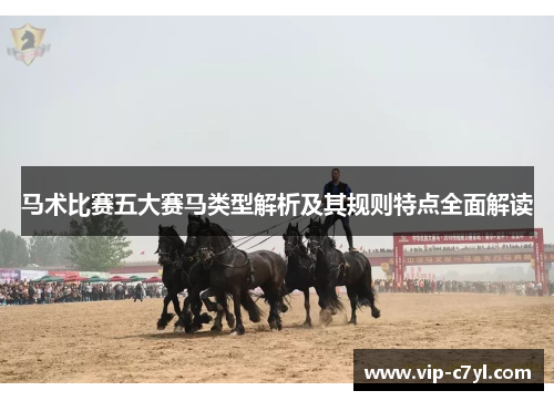 马术比赛五大赛马类型解析及其规则特点全面解读